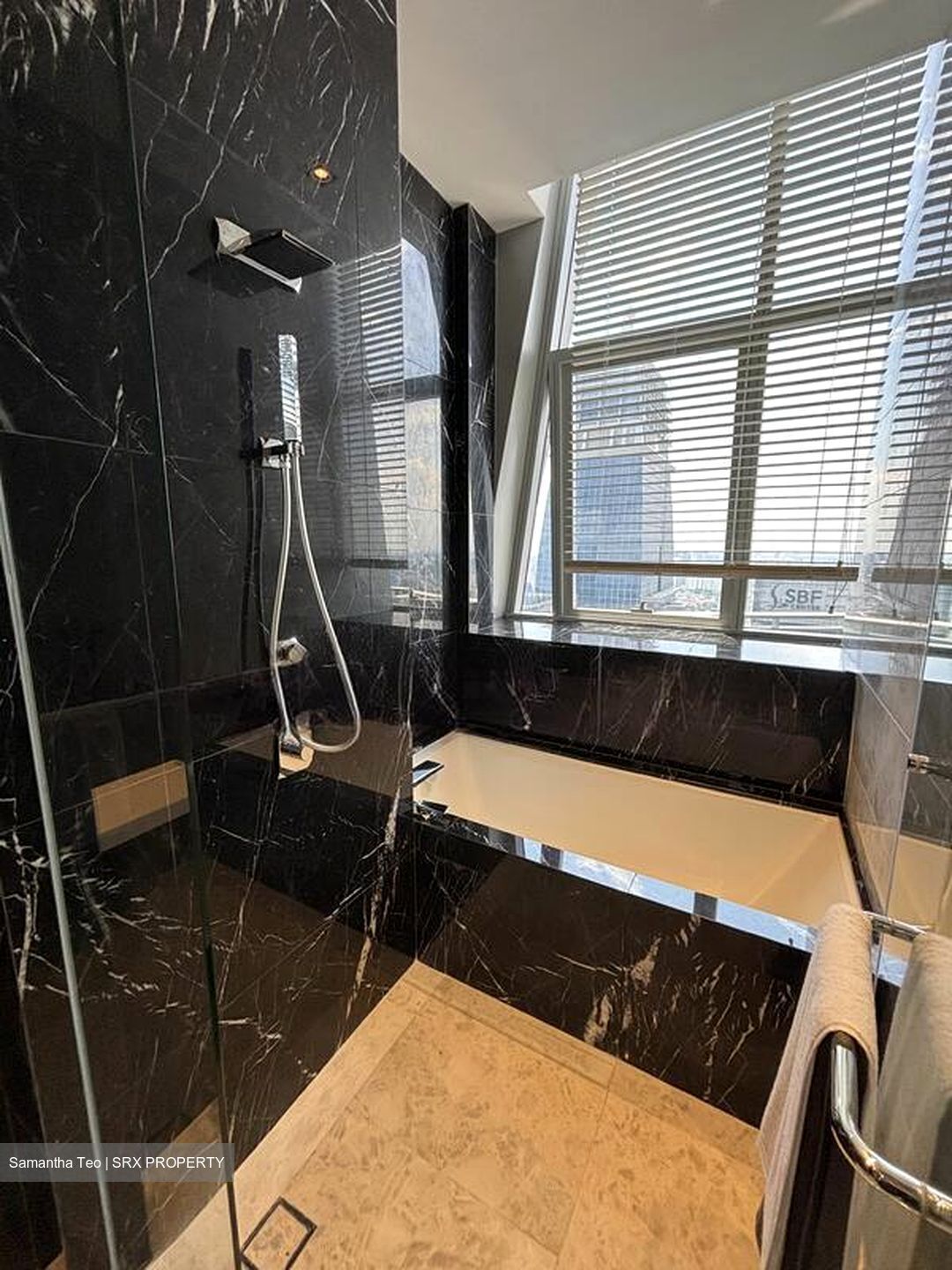 V On Shenton (D1), Apartment #502165411